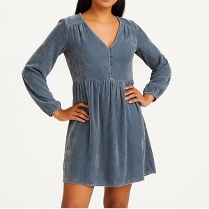 Holding Horses, Dusty Blue Velvet, Long Sleeve Dress, XS